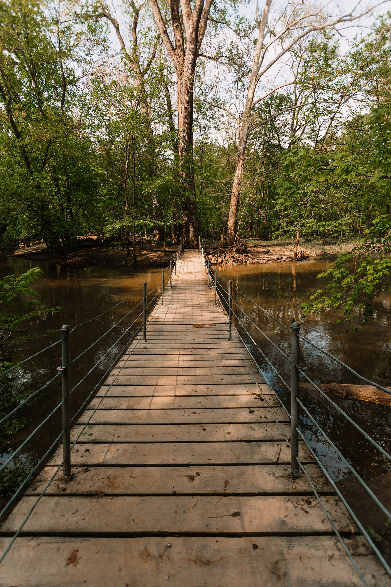 Swinging bridge in Swan Creek Preserve part of Toledo, Ohio Metropark