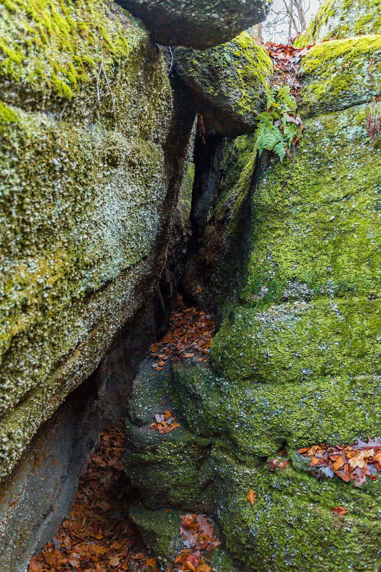 Nelson Ledges, an amazing hike in Ohio